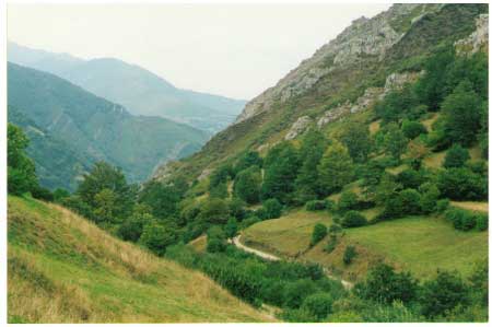 Vista de Las Crispas en Rioaller (Asturias)