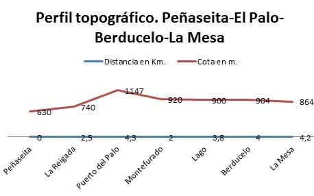 Perfil topográfico Peñaseita-Puerto del Palo-Berducelo-La Mesa. Camino Primitivo a Santiago