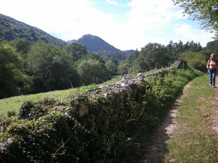 Camino a la Campona (Ribadedeva- Asturias Oriental)