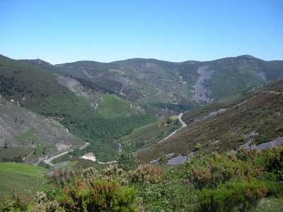 Derrubios en la Sierra de Fanfaraón (Tineo-Allande)