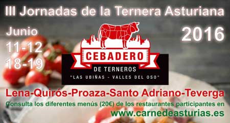 Cartel de III Jornadas de  la carne de cebadero (Asturias)