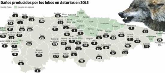 Distribución  daños deñ lobo en Asturias año 2015