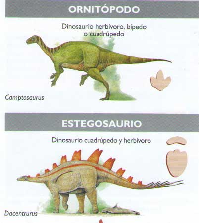 Dinosaurios Ornitópodo y Estegosaurio (Asturias).