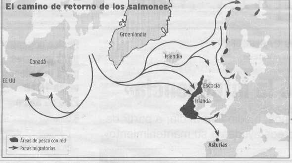 Rutas de los salmones asturianos